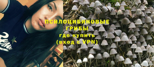 молекула духа Балахна