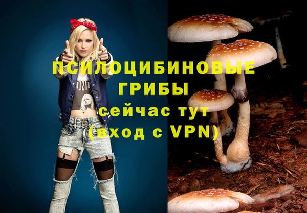 молекула духа Балахна