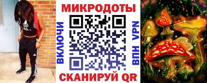 где продают   Курильск  Галлюциногенные грибы Magic Shrooms 