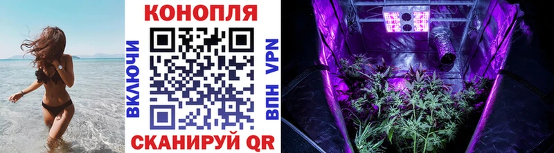Шишки марихуана ГИДРОПОН  Курильск 